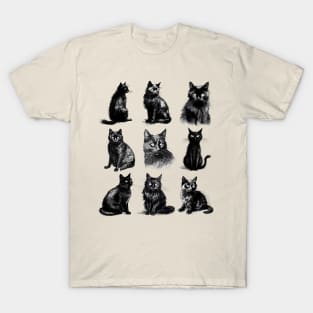 Vintage Halloween Shirt Black Cat Collage T-Shirt